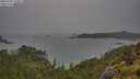 ./images/calvert/foggy-cove/20250707/foggy-cove20250707_150011M.jpg