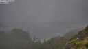 ./images/calvert/foggy-cove/20250708/foggy-cove20250708_072509M.jpg