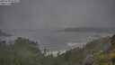 ./images/calvert/foggy-cove/20250708/foggy-cove20250708_074009M.jpg