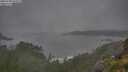 ./images/calvert/foggy-cove/20250708/foggy-cove20250708_075009M.jpg
