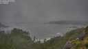 ./images/calvert/foggy-cove/20250708/foggy-cove20250708_075509M.jpg