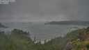 ./images/calvert/foggy-cove/20250708/foggy-cove20250708_082509M.jpg