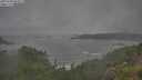 ./images/calvert/foggy-cove/20250708/foggy-cove20250708_083011M.jpg