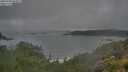 ./images/calvert/foggy-cove/20250708/foggy-cove20250708_084007M.jpg