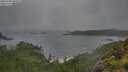./images/calvert/foggy-cove/20250708/foggy-cove20250708_085008M.jpg
