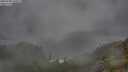 ./images/calvert/foggy-cove/20250708/foggy-cove20250708_090011M.jpg