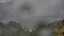./images/calvert/foggy-cove/20250708/foggy-cove20250708_091010M.jpg