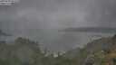 ./images/calvert/foggy-cove/20250708/foggy-cove20250708_092510M.jpg