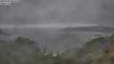 ./images/calvert/foggy-cove/20250708/foggy-cove20250708_094010M.jpg