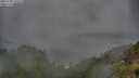 ./images/calvert/foggy-cove/20250708/foggy-cove20250708_101010M.jpg