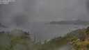 ./images/calvert/foggy-cove/20250708/foggy-cove20250708_110010M.jpg
