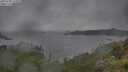 ./images/calvert/foggy-cove/20250708/foggy-cove20250708_111010M.jpg
