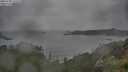 ./images/calvert/foggy-cove/20250708/foggy-cove20250708_111510M.jpg
