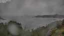 ./images/calvert/foggy-cove/20250708/foggy-cove20250708_113510M.jpg