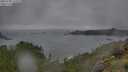 ./images/calvert/foggy-cove/20250708/foggy-cove20250708_114510M.jpg