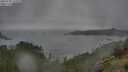 ./images/calvert/foggy-cove/20250708/foggy-cove20250708_115010M.jpg