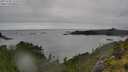 ./images/calvert/foggy-cove/20250708/foggy-cove20250708_121010M.jpg
