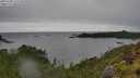 ./images/calvert/foggy-cove/20250708/foggy-cove20250708_122510M.jpg