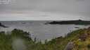 ./images/calvert/foggy-cove/20250708/foggy-cove20250708_123010M.jpg