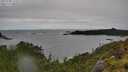 ./images/calvert/foggy-cove/20250708/foggy-cove20250708_123507M.jpg