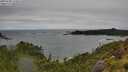 ./images/calvert/foggy-cove/20250708/foggy-cove20250708_124008M.jpg