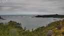 ./images/calvert/foggy-cove/20250708/foggy-cove20250708_125010M.jpg