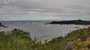 ./images/calvert/foggy-cove/20250708/foggy-cove20250708_125510M.jpg