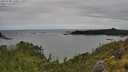 ./images/calvert/foggy-cove/20250708/foggy-cove20250708_130011M.jpg