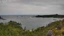 ./images/calvert/foggy-cove/20250708/foggy-cove20250708_130509M.jpg