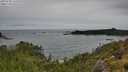 ./images/calvert/foggy-cove/20250708/foggy-cove20250708_131008M.jpg