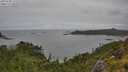./images/calvert/foggy-cove/20250708/foggy-cove20250708_132510M.jpg