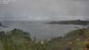 ./images/calvert/foggy-cove/20250708/foggy-cove20250708_133011M.jpg