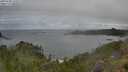 ./images/calvert/foggy-cove/20250708/foggy-cove20250708_133511M.jpg