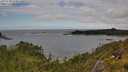 ./images/calvert/foggy-cove/20250708/foggy-cove20250708_150010M.jpg