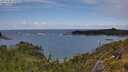 ./images/calvert/foggy-cove/20250708/foggy-cove20250708_151510M.jpg