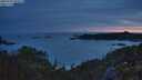 ./images/calvert/foggy-cove/20250709/foggy-cove20250709_045009M.jpg