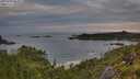 ./images/calvert/foggy-cove/20250709/foggy-cove20250709_062008M.jpg