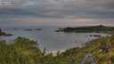 ./images/calvert/foggy-cove/20250709/foggy-cove20250709_064010M.jpg