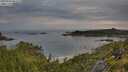 ./images/calvert/foggy-cove/20250709/foggy-cove20250709_064508M.jpg