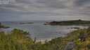 ./images/calvert/foggy-cove/20250709/foggy-cove20250709_073510M.jpg