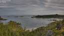 ./images/calvert/foggy-cove/20250709/foggy-cove20250709_075510M.jpg