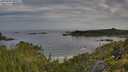 ./images/calvert/foggy-cove/20250709/foggy-cove20250709_080011M.jpg