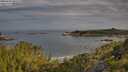 ./images/calvert/foggy-cove/20250709/foggy-cove20250709_080509M.jpg