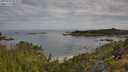 ./images/calvert/foggy-cove/20250709/foggy-cove20250709_083011M.jpg