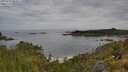 ./images/calvert/foggy-cove/20250709/foggy-cove20250709_084511M.jpg