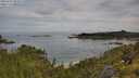 ./images/calvert/foggy-cove/20250709/foggy-cove20250709_085007M.jpg