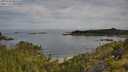 ./images/calvert/foggy-cove/20250709/foggy-cove20250709_085510M.jpg