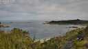 ./images/calvert/foggy-cove/20250709/foggy-cove20250709_090511M.jpg