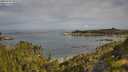 ./images/calvert/foggy-cove/20250709/foggy-cove20250709_091008M.jpg