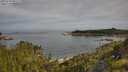 ./images/calvert/foggy-cove/20250709/foggy-cove20250709_091510M.jpg